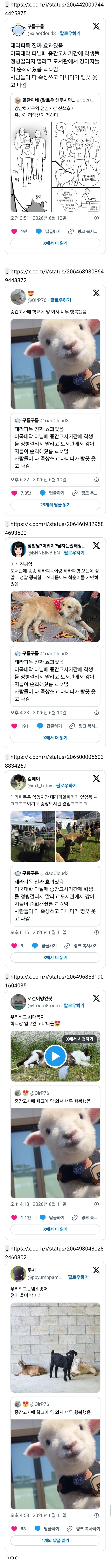 테라피독 진짜 효과있음 대학 다닐때 중간고사기간에 정병오지 말라고 도서관 강아지들이 순회해줬름 사람들이 다 죽상이었다가 빵긋 웃고 나감 | 인스티즈