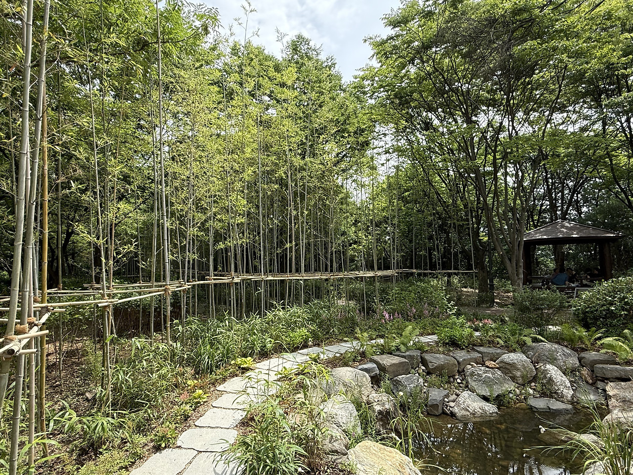 서울 한복판에 전국 전통숲을 다 모아놓은 정원 생김🌳 | 인스티즈