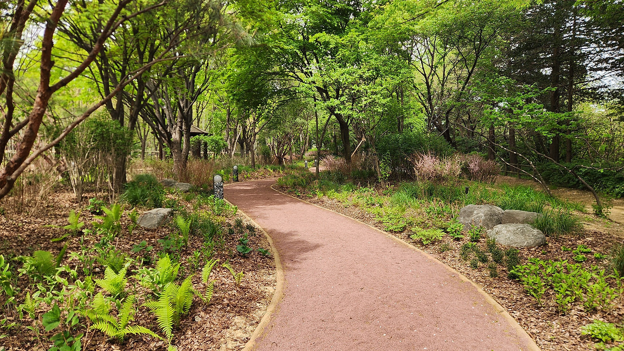 서울 한복판에 전국 전통숲을 다 모아놓은 정원 생김🌳 | 인스티즈