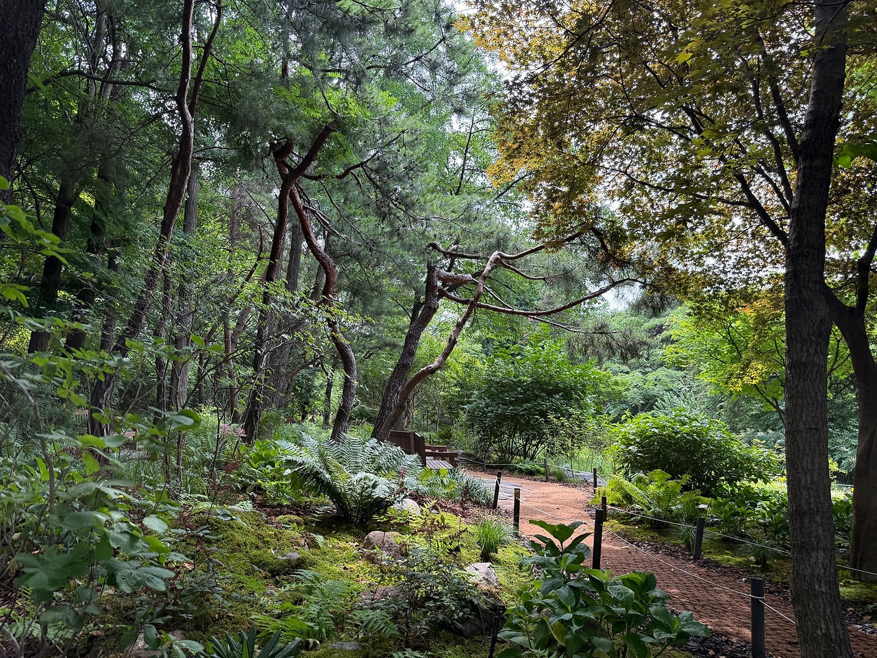 서울 한복판에 전국 전통숲을 다 모아놓은 정원 생김🌳 | 인스티즈