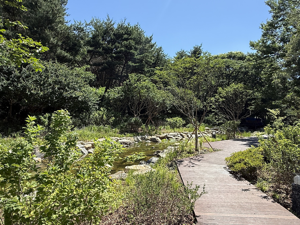 서울 한복판에 전국 전통숲을 다 모아놓은 정원 생김🌳 | 인스티즈