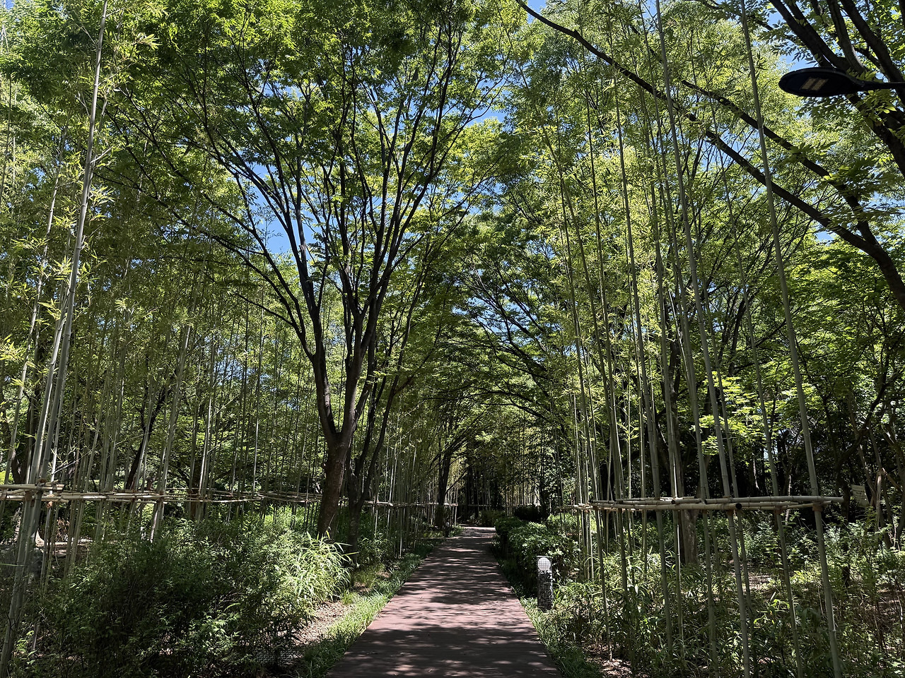 서울 한복판에 전국 전통숲을 다 모아놓은 정원 생김🌳 | 인스티즈