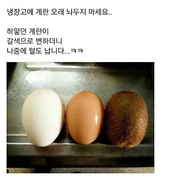 냉장고에 계란을 오래 두면 | 인스티즈