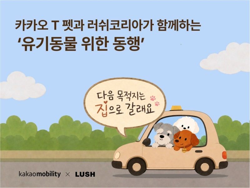 카카오 T 화면 속 강아지 쓰다듬고 유기동물 돕는다 | 인스티즈