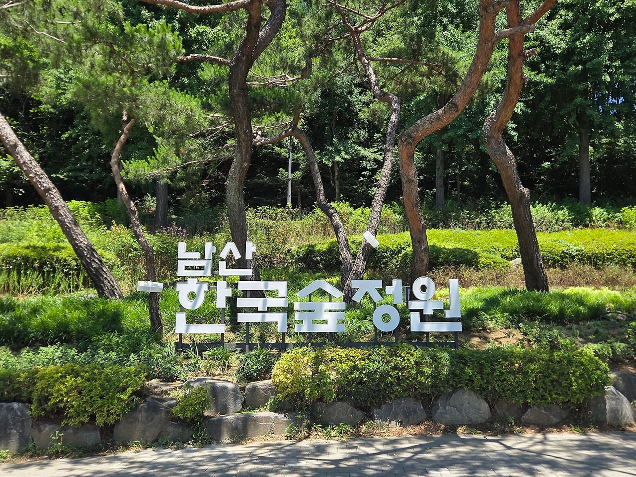 서울 한복판에 전국 전통숲을 다 모아놓은 정원 생김🌳 | 인스티즈