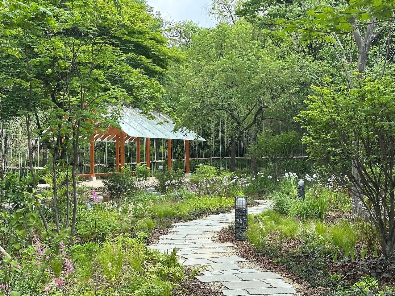 서울 한복판에 전국 전통숲을 다 모아놓은 정원 생김🌳 | 인스티즈