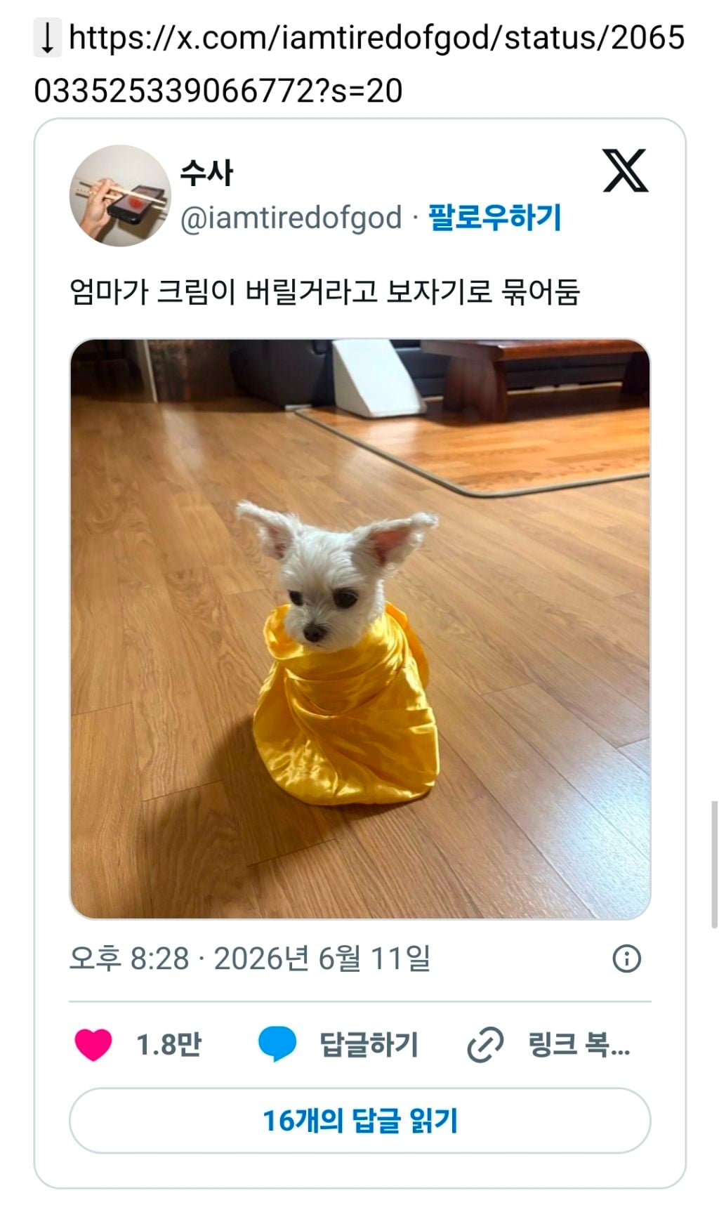 엄마가 크림이 버릴거라고 보자기로 묶어둠 | 인스티즈