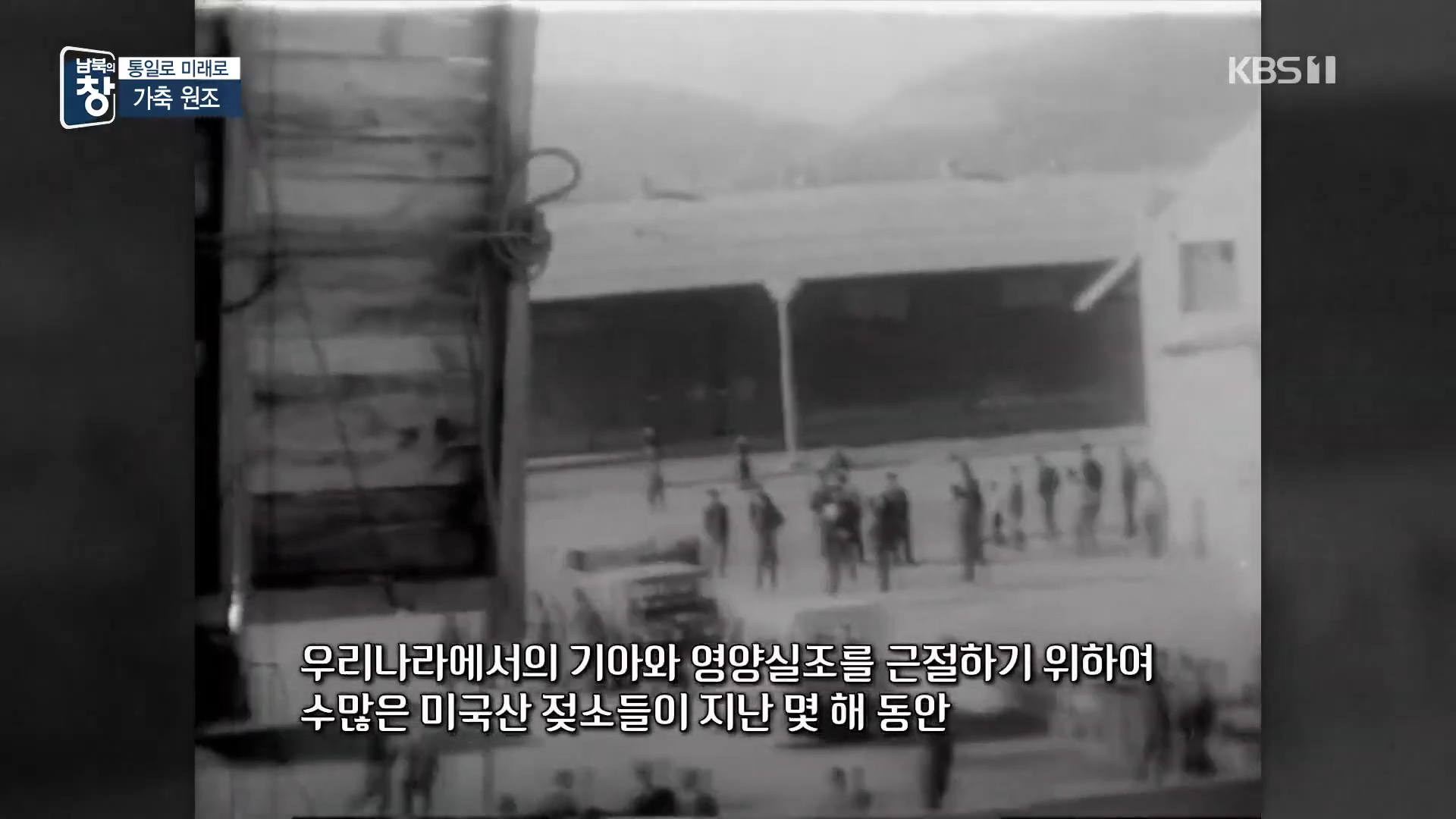 대한민국에 24년간 가축과 꿀벌을 공짜로 퍼준 미국 | 인스티즈