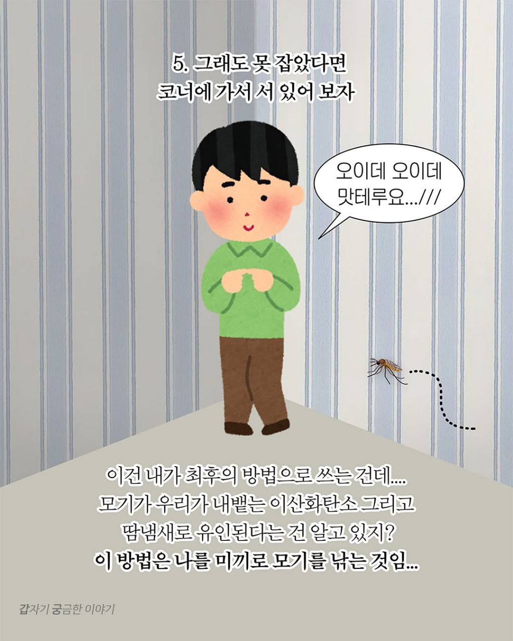 인생 대부분을 모기 잡는데 써온 사람이 알려주는 모기 잘 잡는 법 | 인스티즈