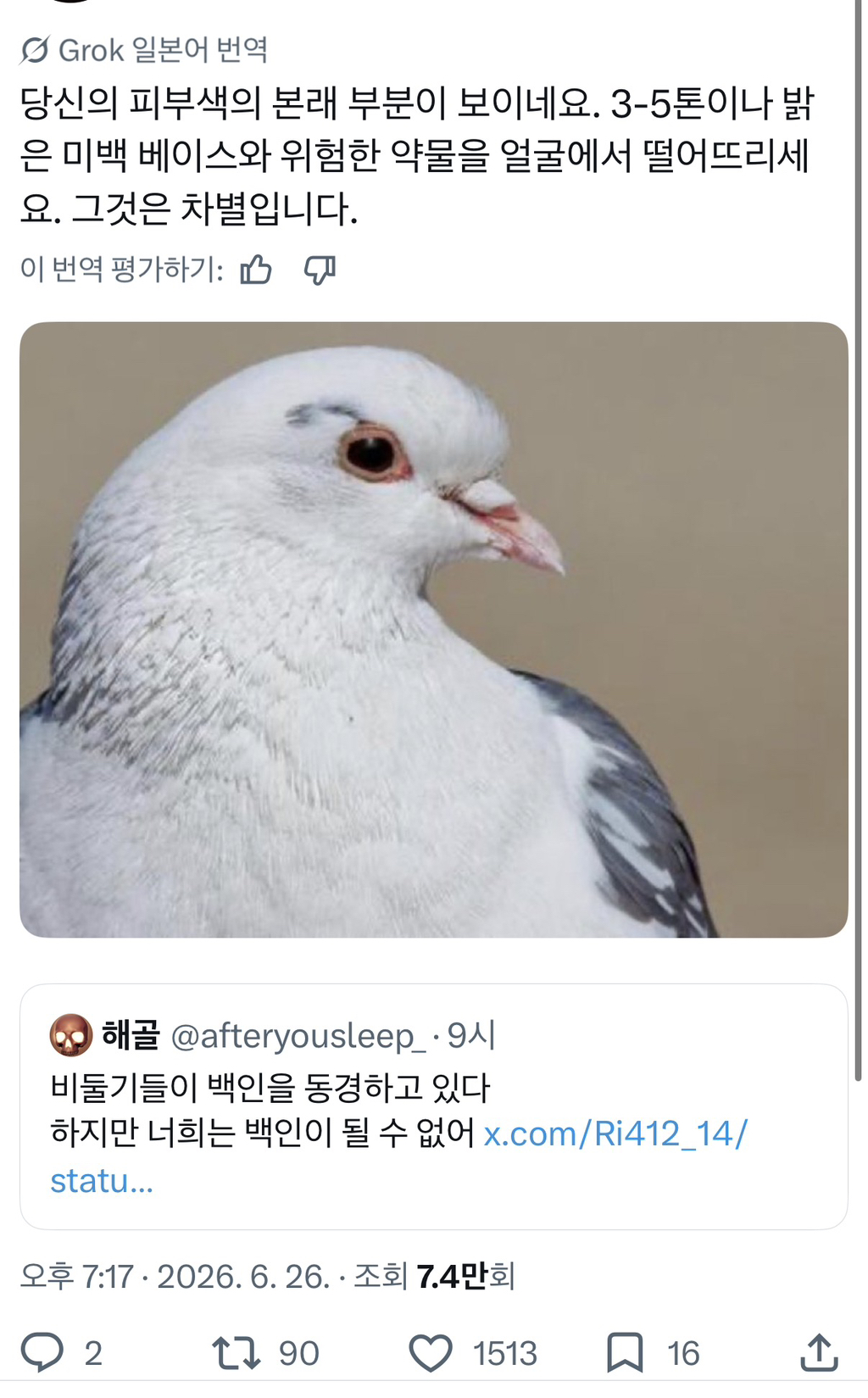 ???: 비둘기들이 백인을 동경하고있다 | 인스티즈