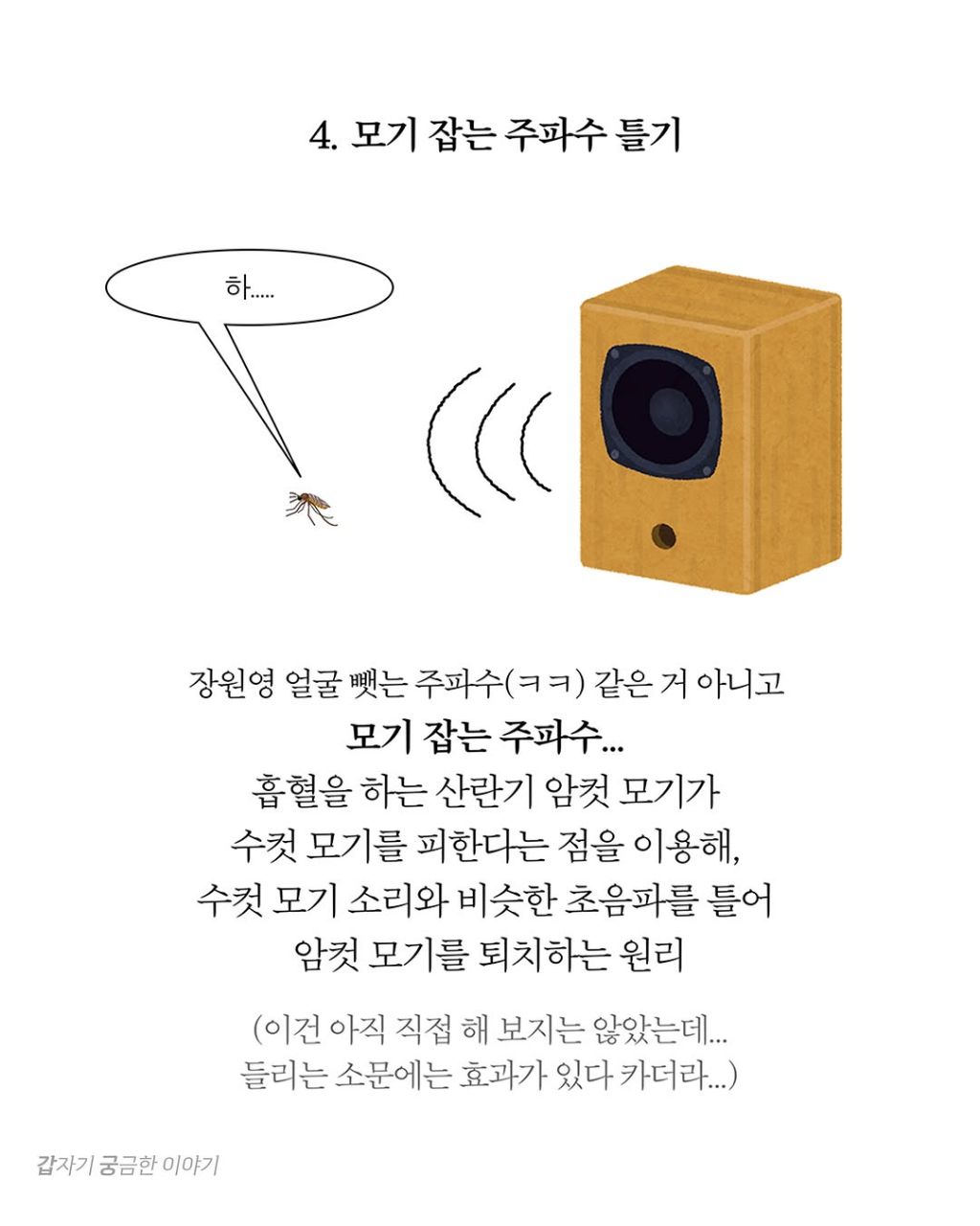 인생 대부분을 모기 잡는데 써온 사람이 알려주는 모기 잘 잡는 법 | 인스티즈