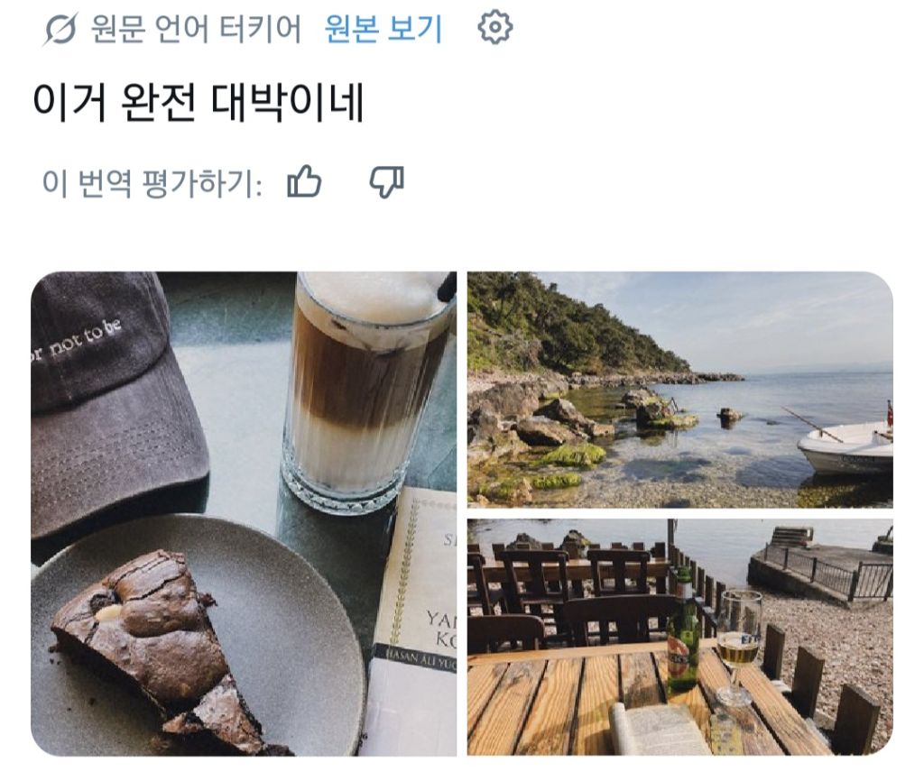 혼자 커피 마시고, 책 읽고, 산책하고, 외출하는게 좋은 사람들.jpg | 인스티즈