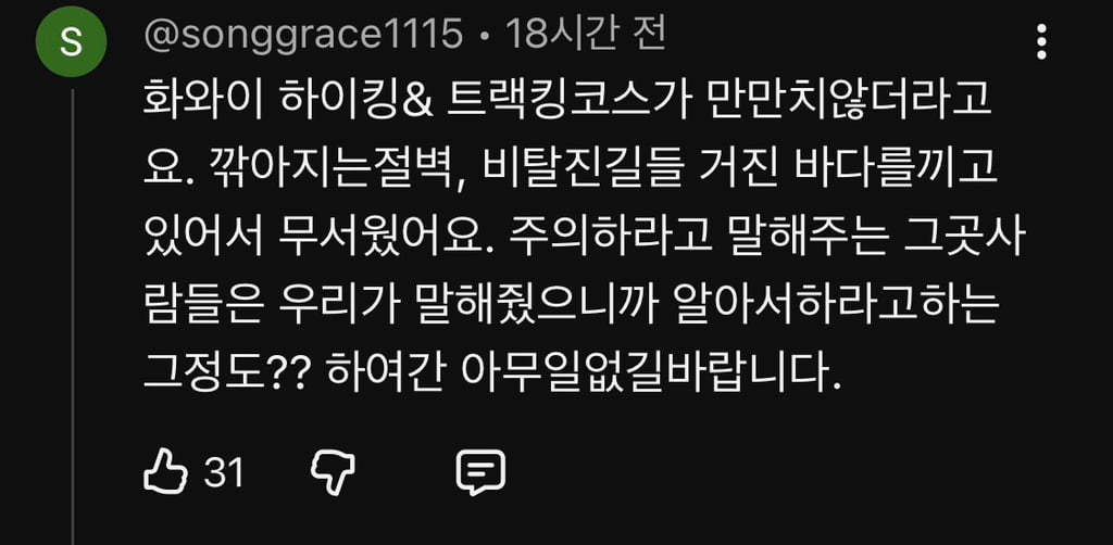 하와이 관광 나선 한국인 부자 실종…미 당국 헬기·드론 동원 수색 | 인스티즈