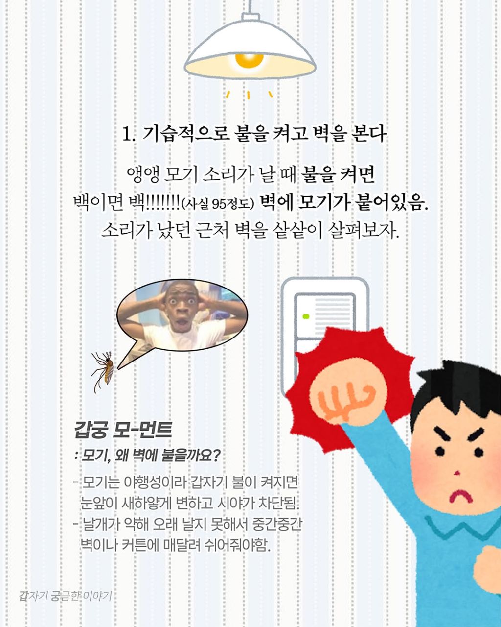 인생 대부분을 모기 잡는데 써온 사람이 알려주는 모기 잘 잡는 법 | 인스티즈