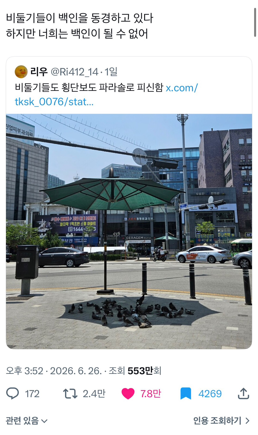 ???: 비둘기들이 백인을 동경하고있다 | 인스티즈