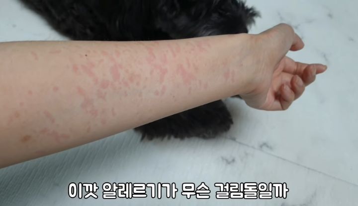 도랑에 빠진 새끼고양이를 구하고 냥택 된 유투버 | 인스티즈