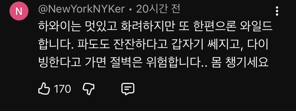 하와이 관광 나선 한국인 부자 실종…미 당국 헬기·드론 동원 수색 | 인스티즈