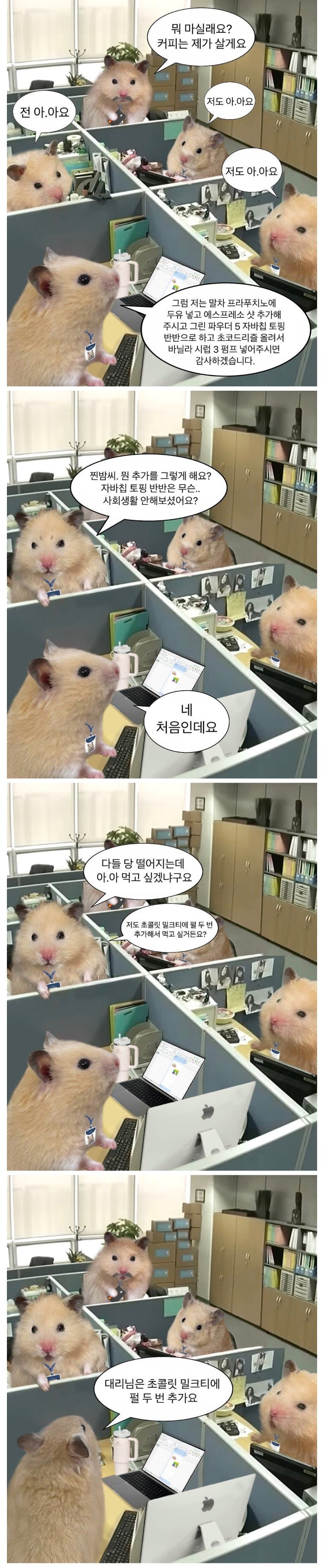 똑부러지는 mz 햄스터 | 인스티즈