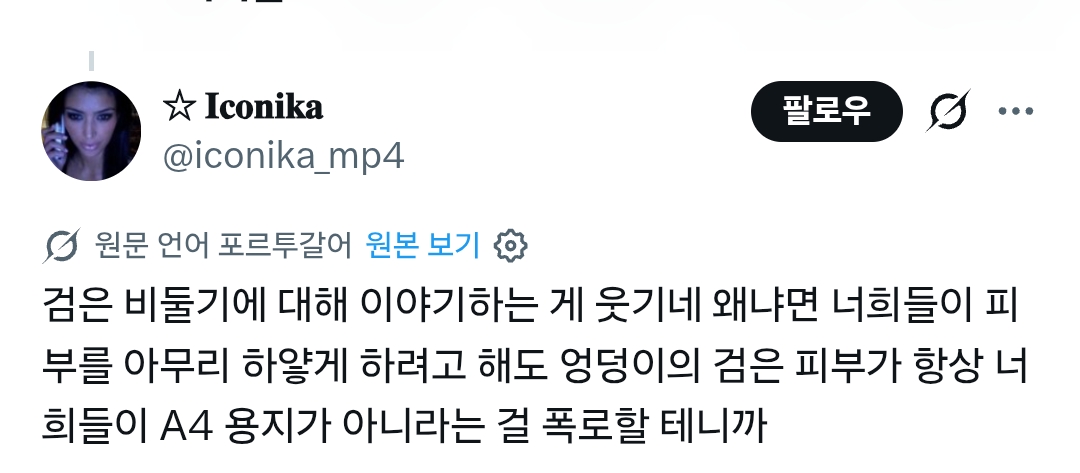 럽욜셆 못하는 비둘기들을 본 트위터 | 인스티즈