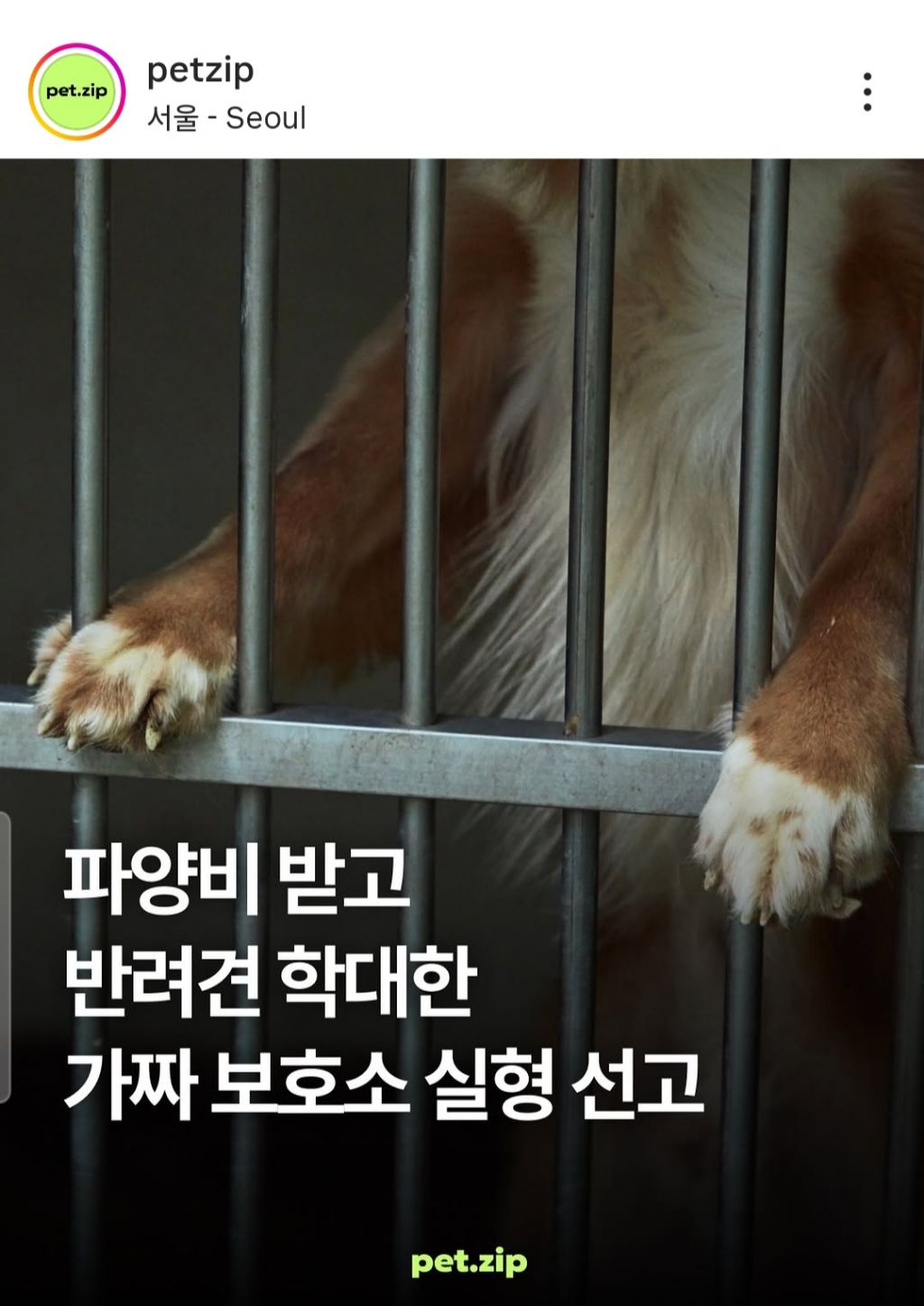 파양비 받고 반려견 학대한 가짜보호소 실형 선고 | 인스티즈