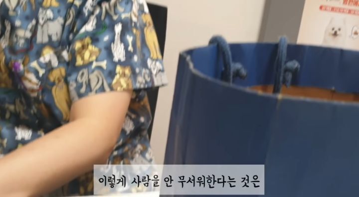 도랑에 빠진 새끼고양이를 구하고 냥택 된 유투버 | 인스티즈