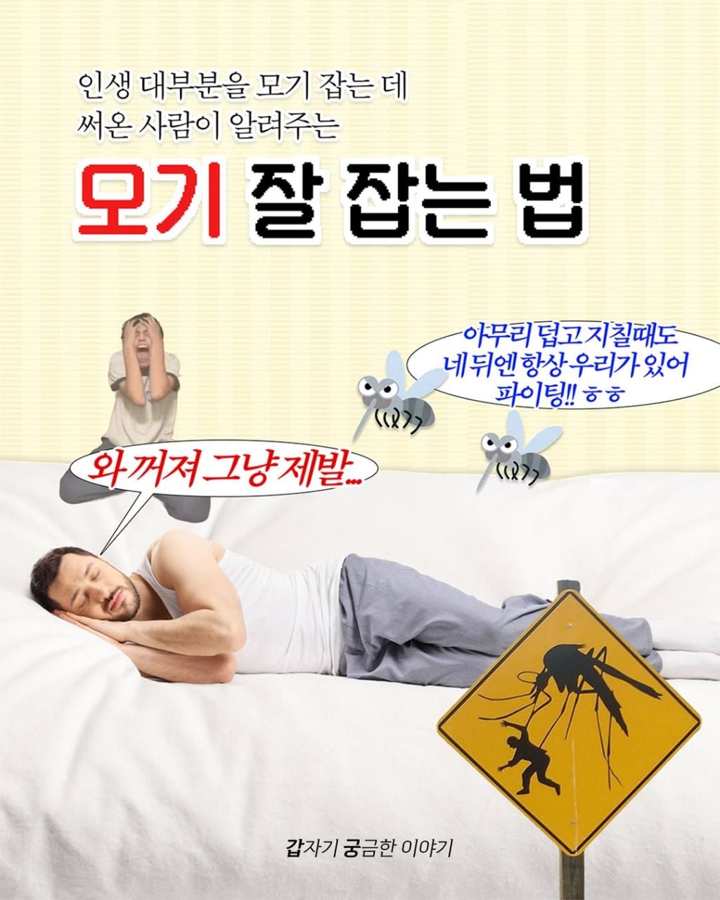 인생 대부분을 모기 잡는데 써온 사람이 알려주는 모기 잘 잡는 법 | 인스티즈