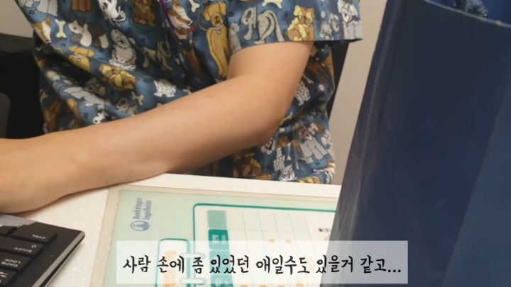 도랑에 빠진 새끼고양이를 구하고 냥택 된 유투버 | 인스티즈