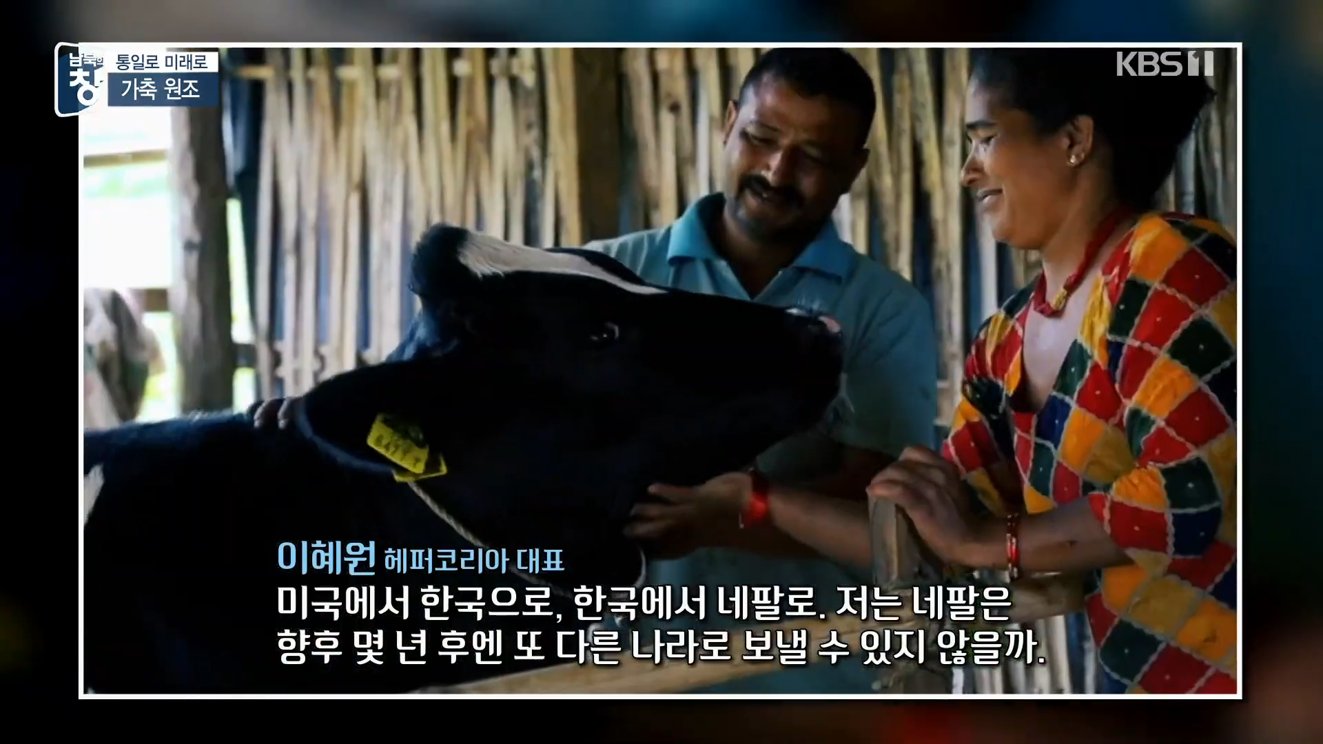 대한민국에 24년간 가축과 꿀벌을 공짜로 퍼준 미국 | 인스티즈