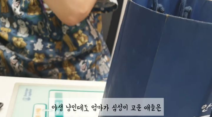 도랑에 빠진 새끼고양이를 구하고 냥택 된 유투버 | 인스티즈