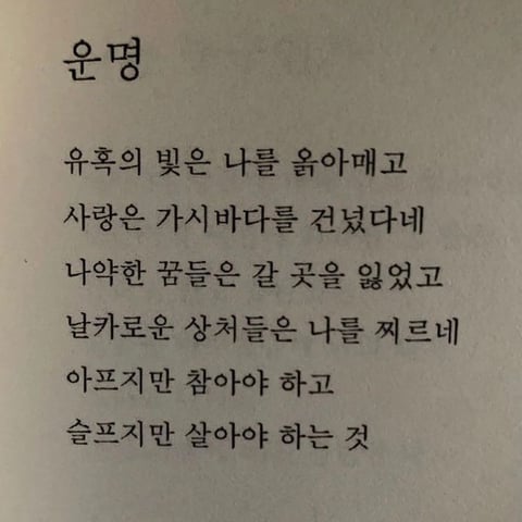 사랑은 낭만적이라 지독하리만큼 아프고 금방 시들어버려서 | 인스티즈