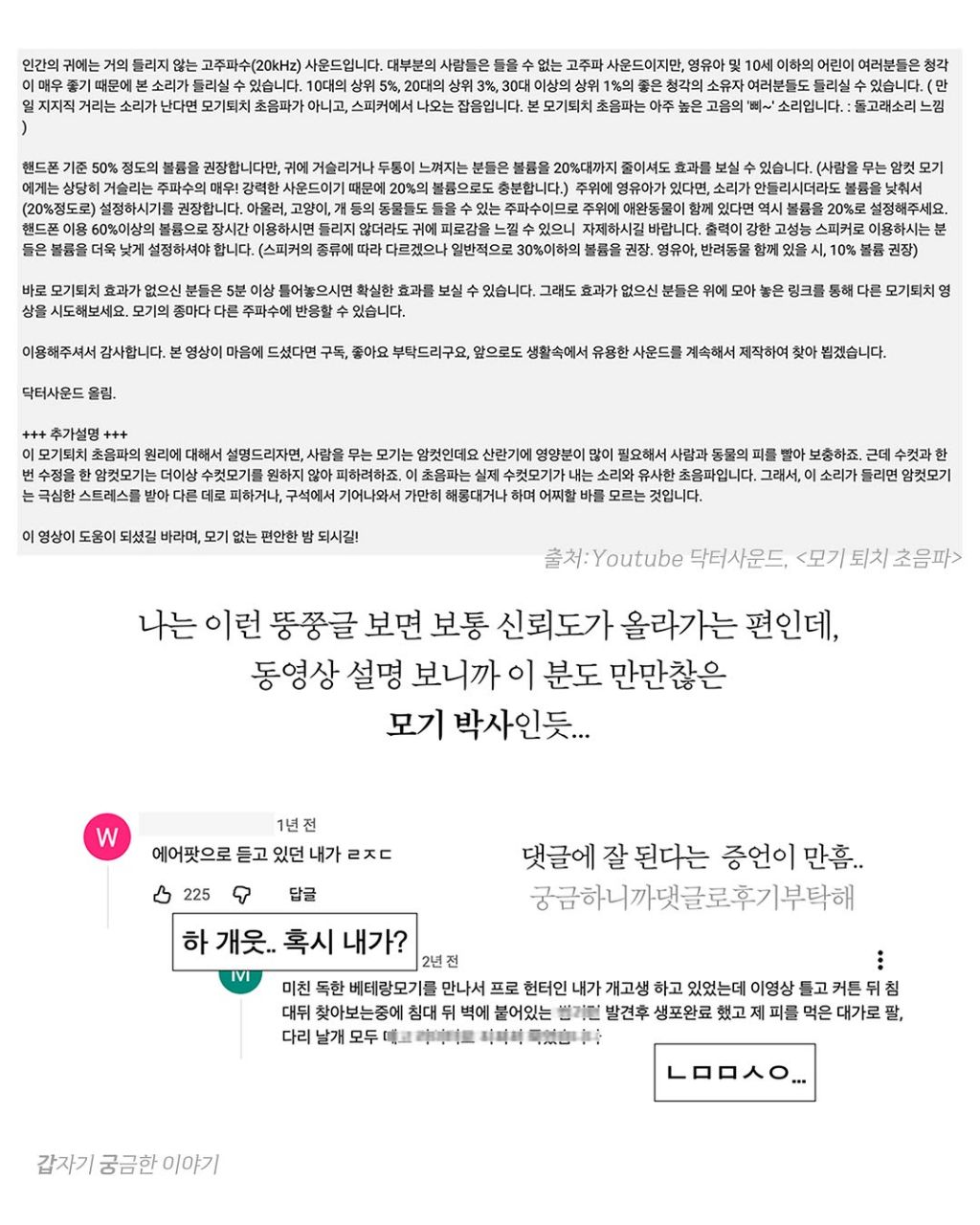 인생 대부분을 모기 잡는데 써온 사람이 알려주는 모기 잘 잡는 법 | 인스티즈