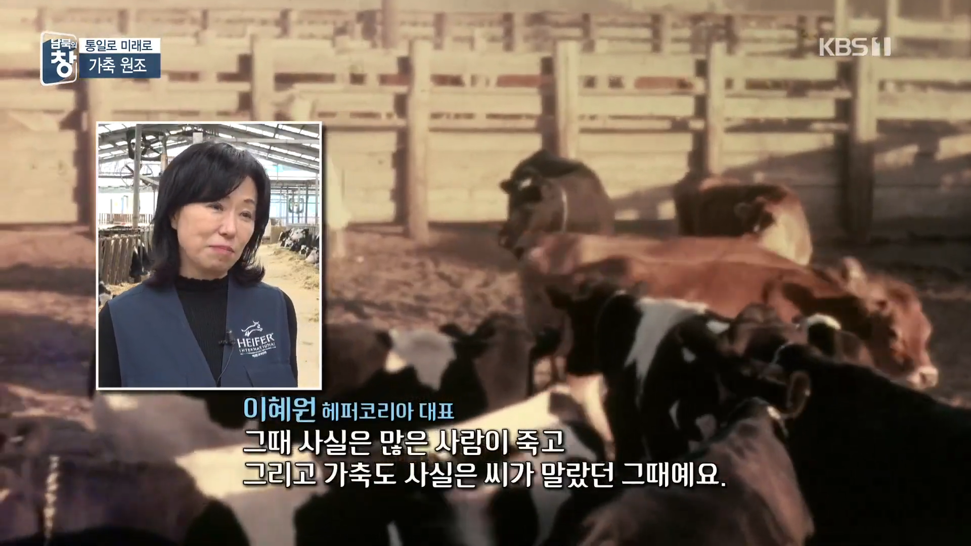 대한민국에 24년간 가축과 꿀벌을 공짜로 퍼준 미국 | 인스티즈