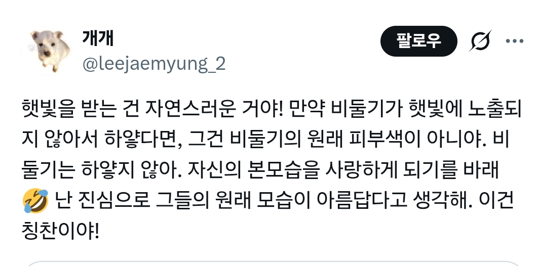 럽욜셆 못하는 비둘기들을 본 트위터 | 인스티즈