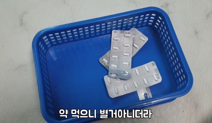 도랑에 빠진 새끼고양이를 구하고 냥택 된 유투버 | 인스티즈