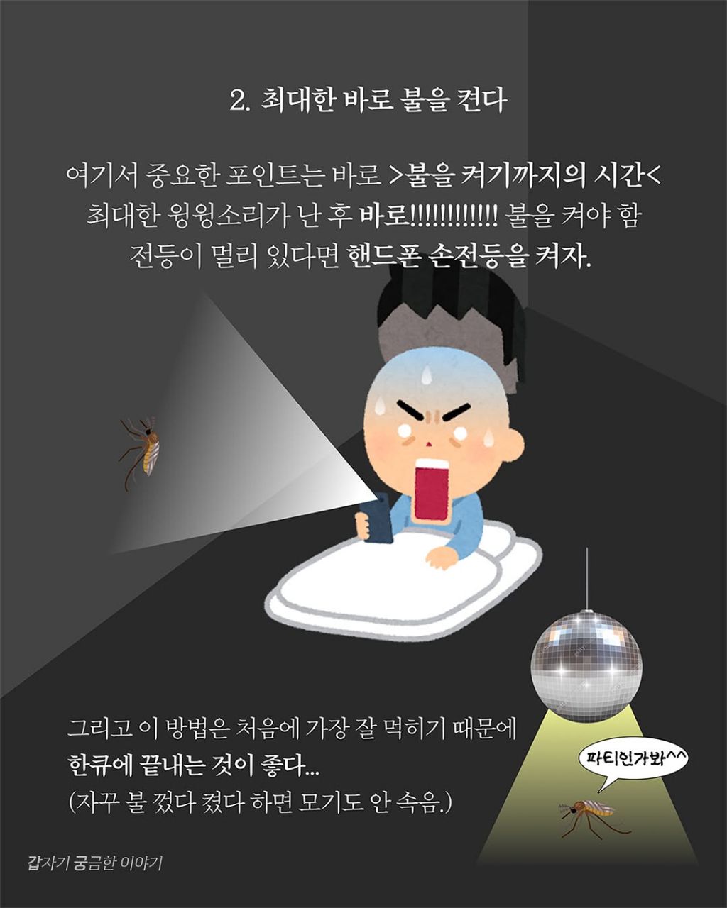 인생 대부분을 모기 잡는데 써온 사람이 알려주는 모기 잘 잡는 법 | 인스티즈
