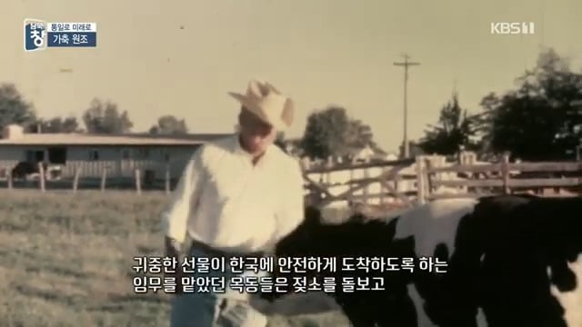 대한민국에 24년간 가축과 꿀벌을 공짜로 퍼준 미국 | 인스티즈