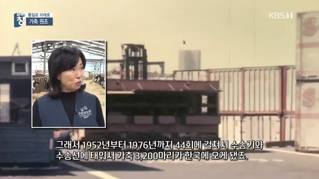 대한민국에 24년간 가축과 꿀벌을 공짜로 퍼준 미국 | 인스티즈