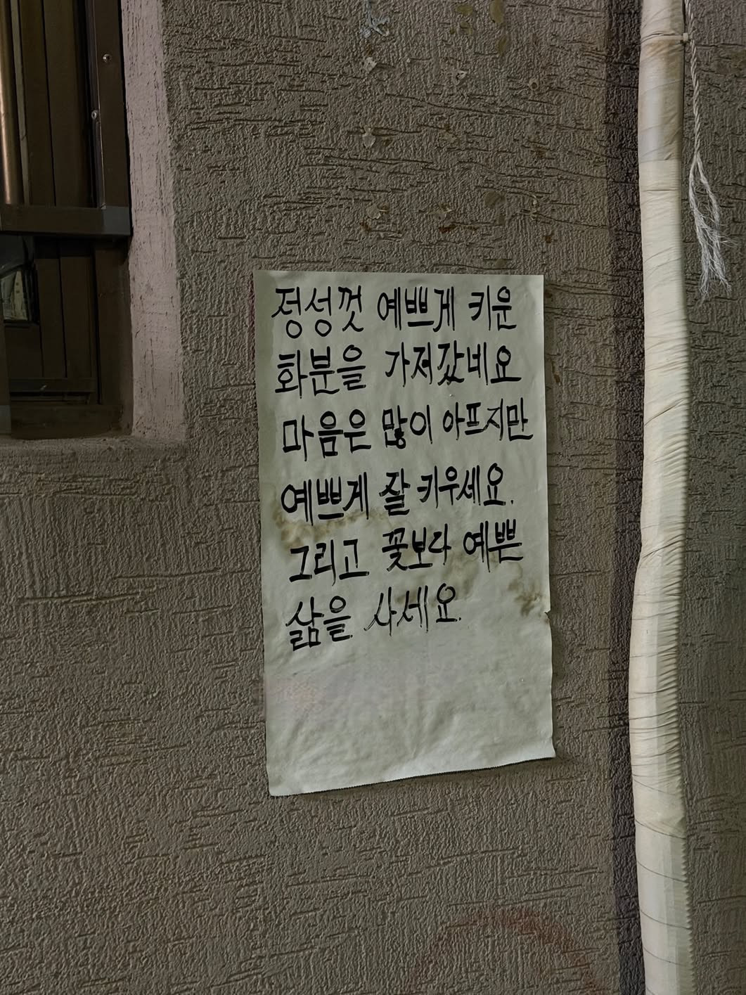 꽃보다 예쁜 삶을 사세요 | 인스티즈