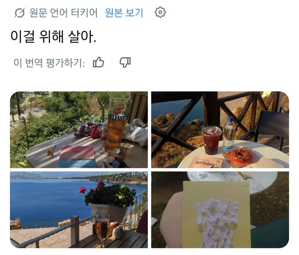 혼자 커피 마시고, 책 읽고, 산책하고, 외출하는게 좋은 사람들.jpg | 인스티즈