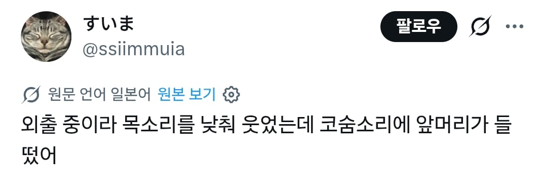 럽욜셆 못하는 비둘기들을 본 트위터 | 인스티즈
