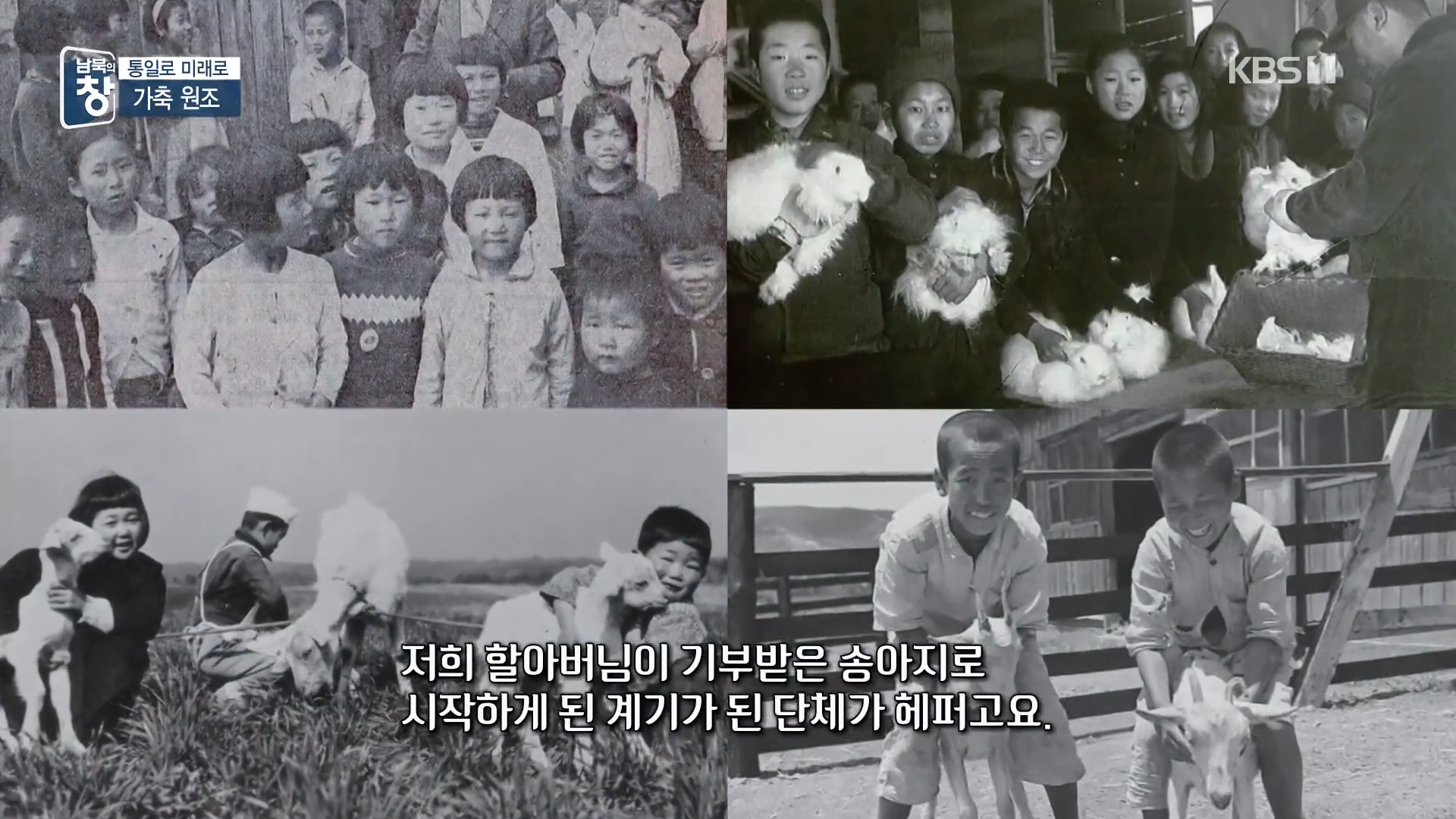 대한민국에 24년간 가축과 꿀벌을 공짜로 퍼준 미국 | 인스티즈