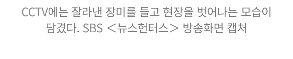 "젊은 부부가 야밤에 '싹둑'"…수년 정성 쏟은 '장미 핫플' 털렸다 | 인스티즈