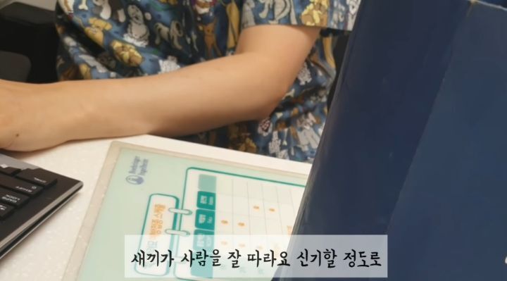 도랑에 빠진 새끼고양이를 구하고 냥택 된 유투버 | 인스티즈