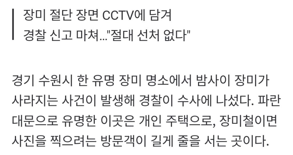 "젊은 부부가 야밤에 '싹둑'"…수년 정성 쏟은 '장미 핫플' 털렸다 | 인스티즈