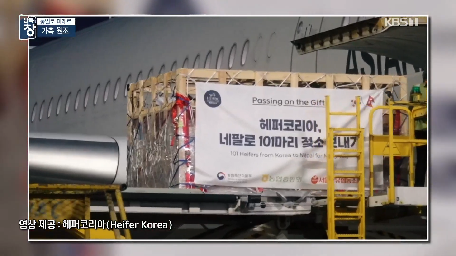 대한민국에 24년간 가축과 꿀벌을 공짜로 퍼준 미국 | 인스티즈