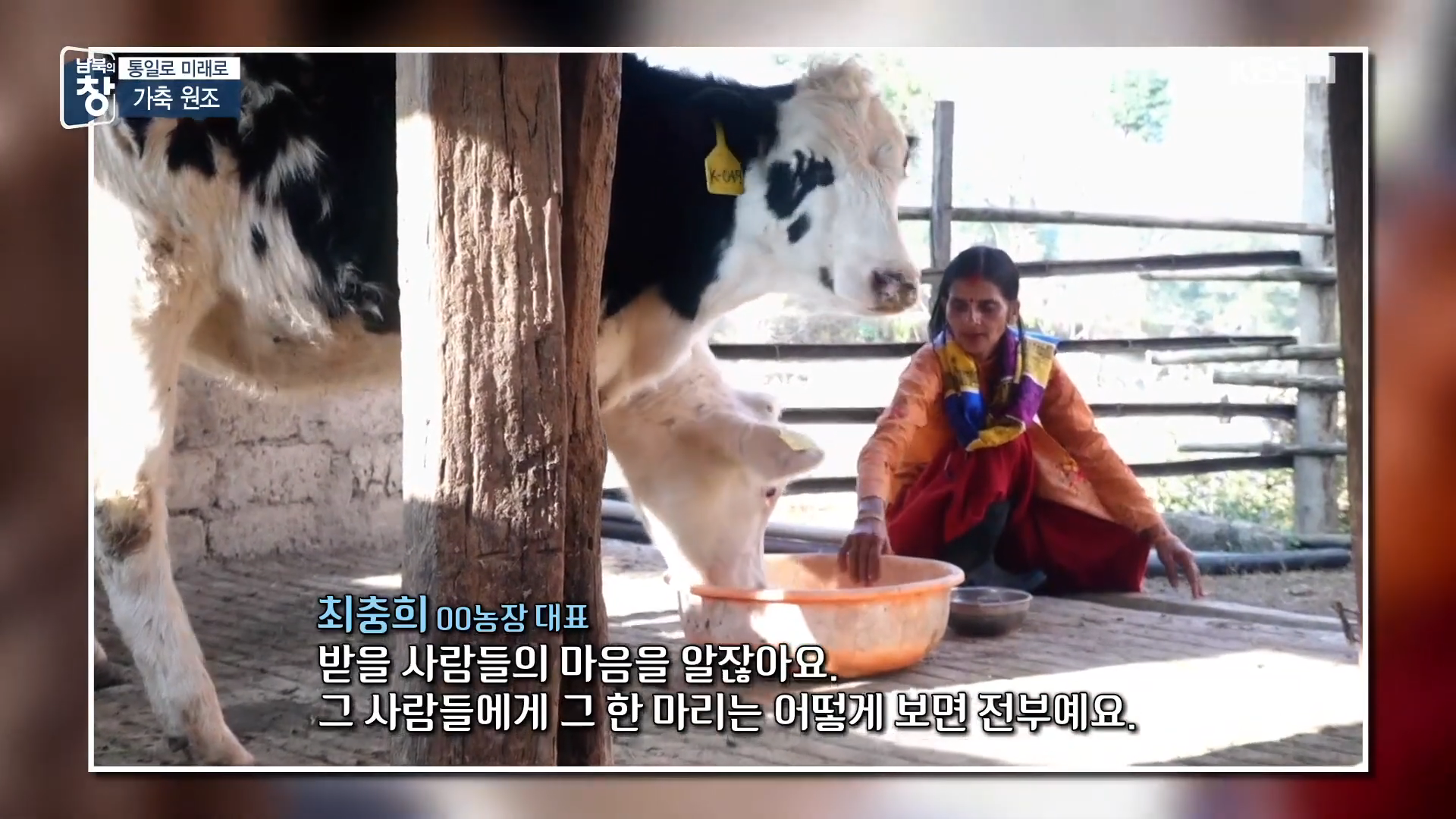 대한민국에 24년간 가축과 꿀벌을 공짜로 퍼준 미국 | 인스티즈