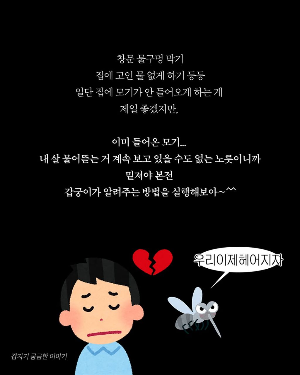 인생 대부분을 모기 잡는데 써온 사람이 알려주는 모기 잘 잡는 법 | 인스티즈