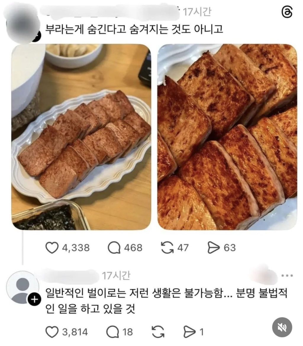 일반적인 벌이로는 저런 생활은 불가능함 분명 불법적인 일을 하고 있을것 | 인스티즈