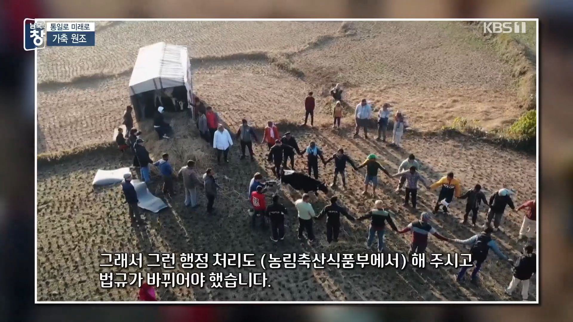대한민국에 24년간 가축과 꿀벌을 공짜로 퍼준 미국 | 인스티즈
