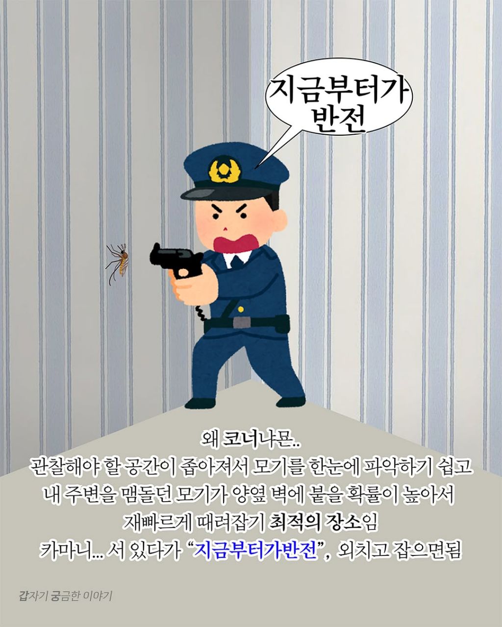 인생 대부분을 모기 잡는데 써온 사람이 알려주는 모기 잘 잡는 법 | 인스티즈